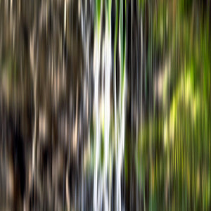 'Forest Flow I' - Illusionary World Collection - Limited Edition Art Photography Prints Celebrating Nature 