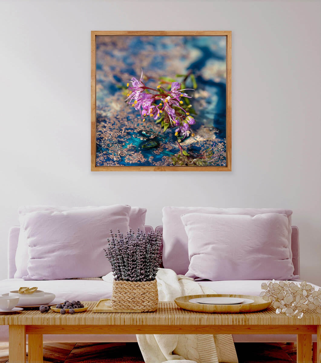 'Cosmic Flora' - Impression of artwork in an interior setting. Available printed on archival paper (unframed).