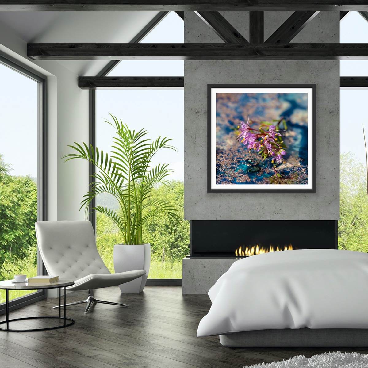 'Cosmic Flora' - Impression of artwork in an interior setting. Available printed on archival paper (unframed).