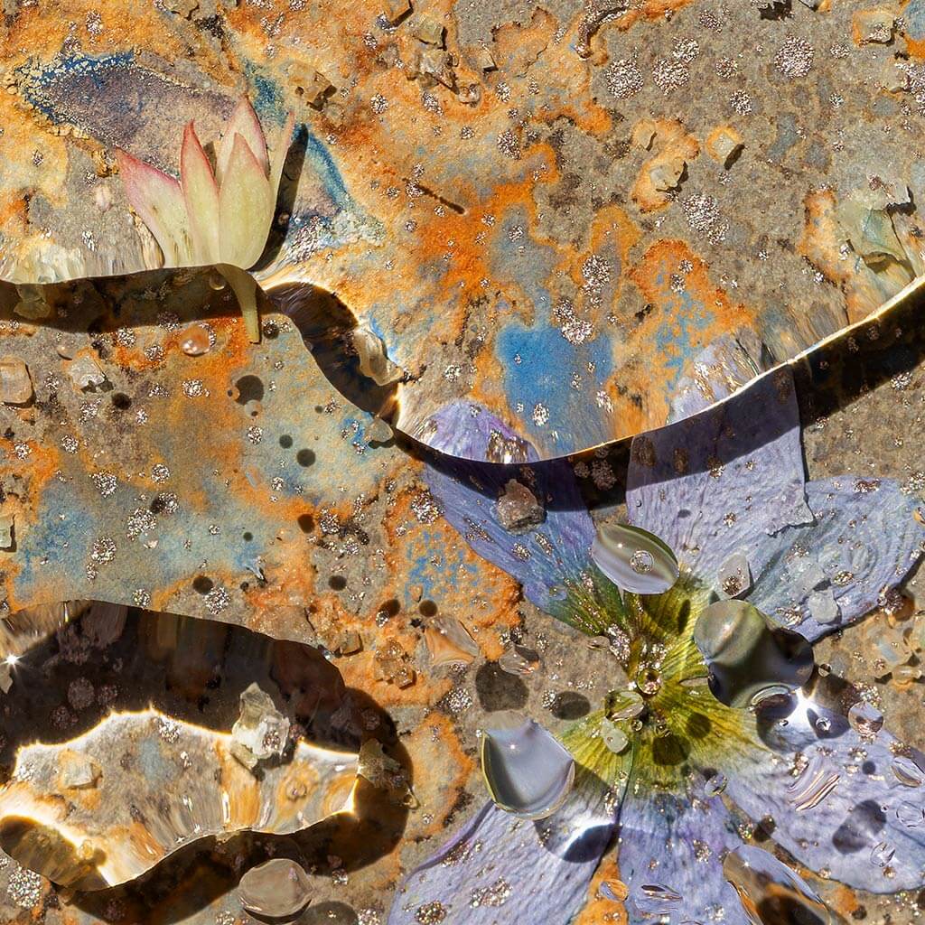 Close up detail of 'Desert Blooms I' by iSpyVenus Art & Photography.