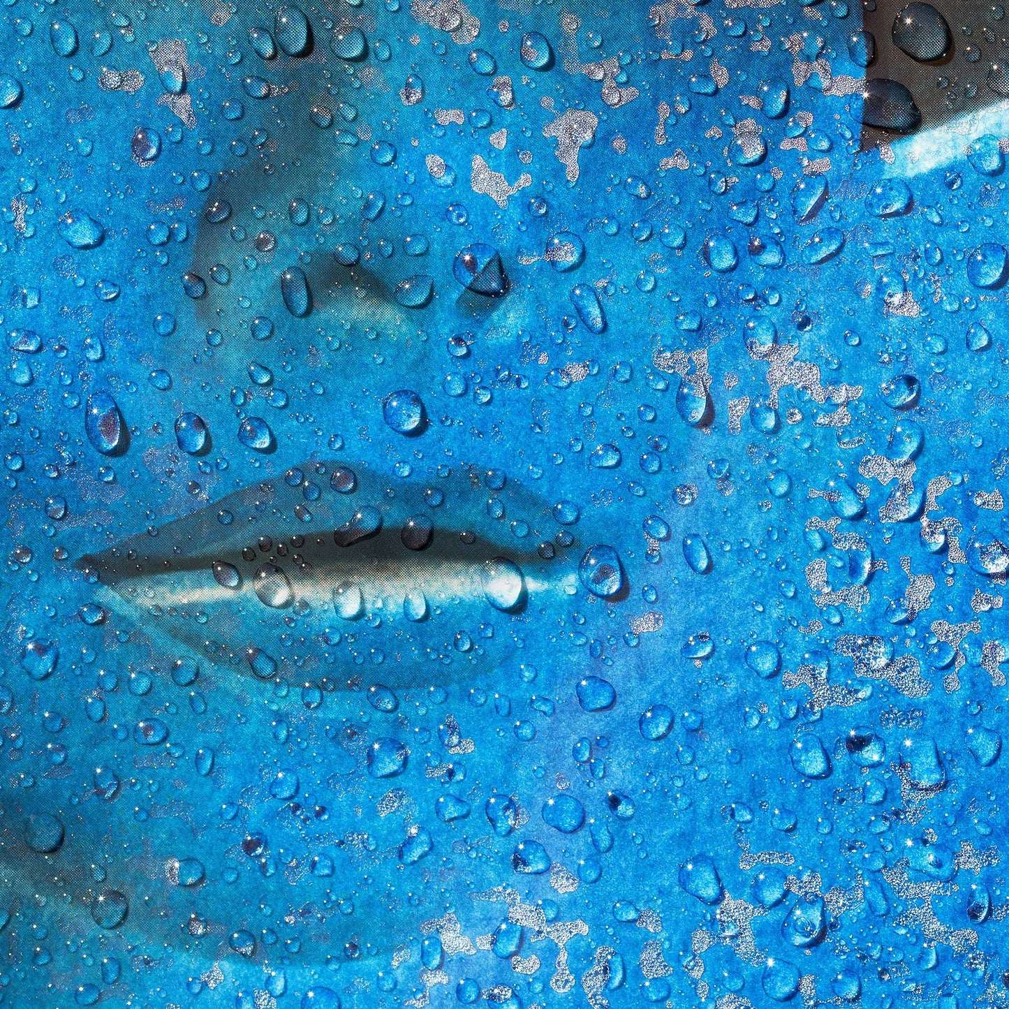 Close up detail of 'Luna Blue' by Virginie Harel.