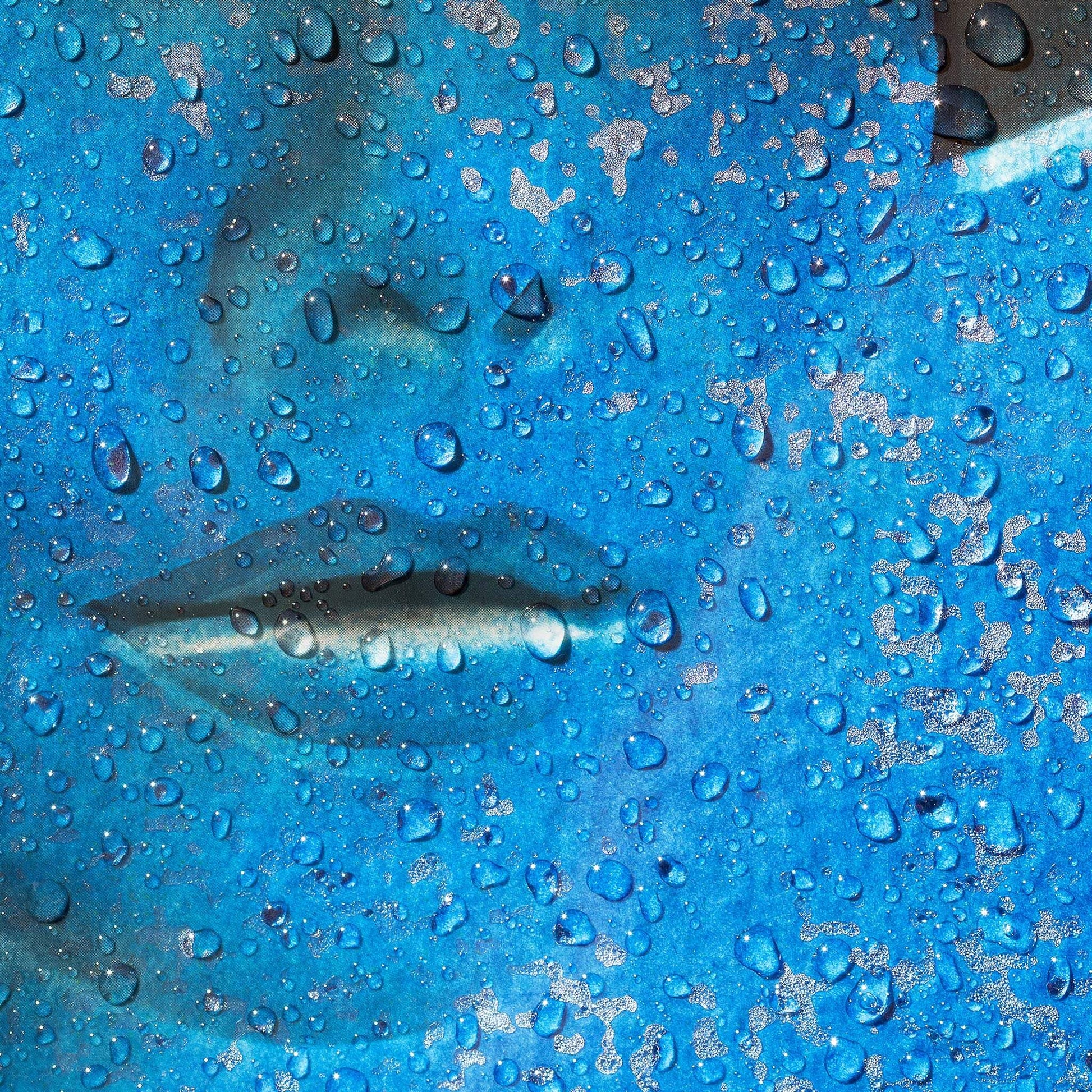 Close up detail of 'Luna Blue' by Virginie Harel.