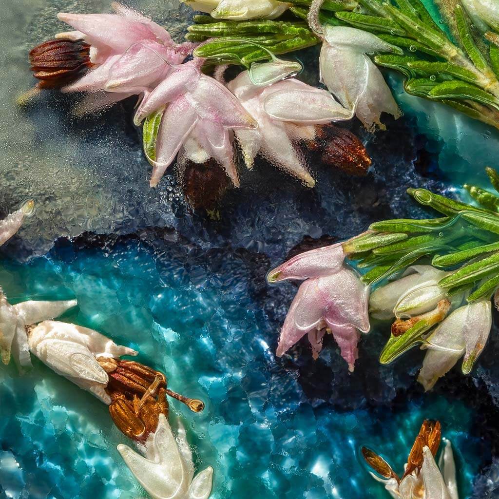 Close up detail of 'Winter Swimming' by iSpyVenus Art & Photography.