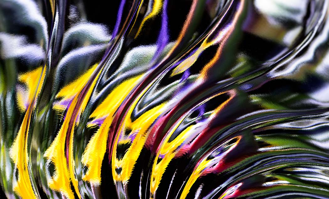 ‘Flight of Strelitzia’ by iSpyVenus Art & Photography. Available printed on archival paper (unframed) & ready to hang metal.