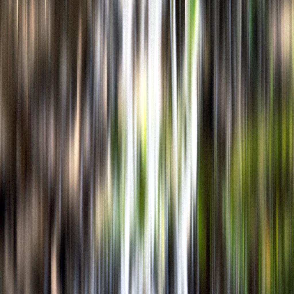 Close up detail of ‘Forest Flow I’ by iSpyVenus Art & Photography. Available printed on archival paper (unframed).