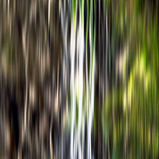 ‘Forest Flow I’ by iSpyVenus Art & Photography (cropped image). Available printed on archival paper (unframed).