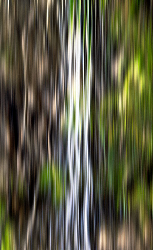 ‘Forest Flow I’ by iSpyVenus Art & Photography. Available printed on archival paper (unframed).